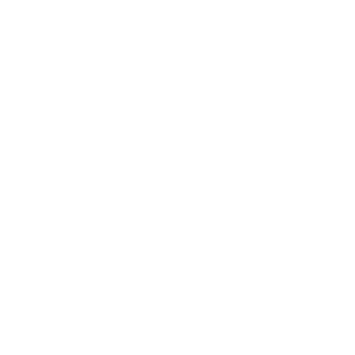 SUMMERHILL icon - white - plane - 500